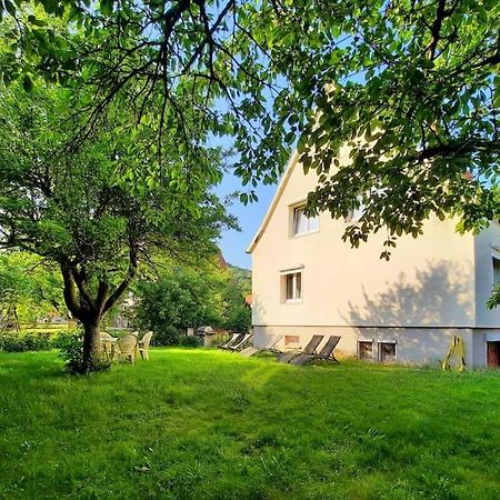 Rooms 4 Persons Kaysersberg Kültér fotó