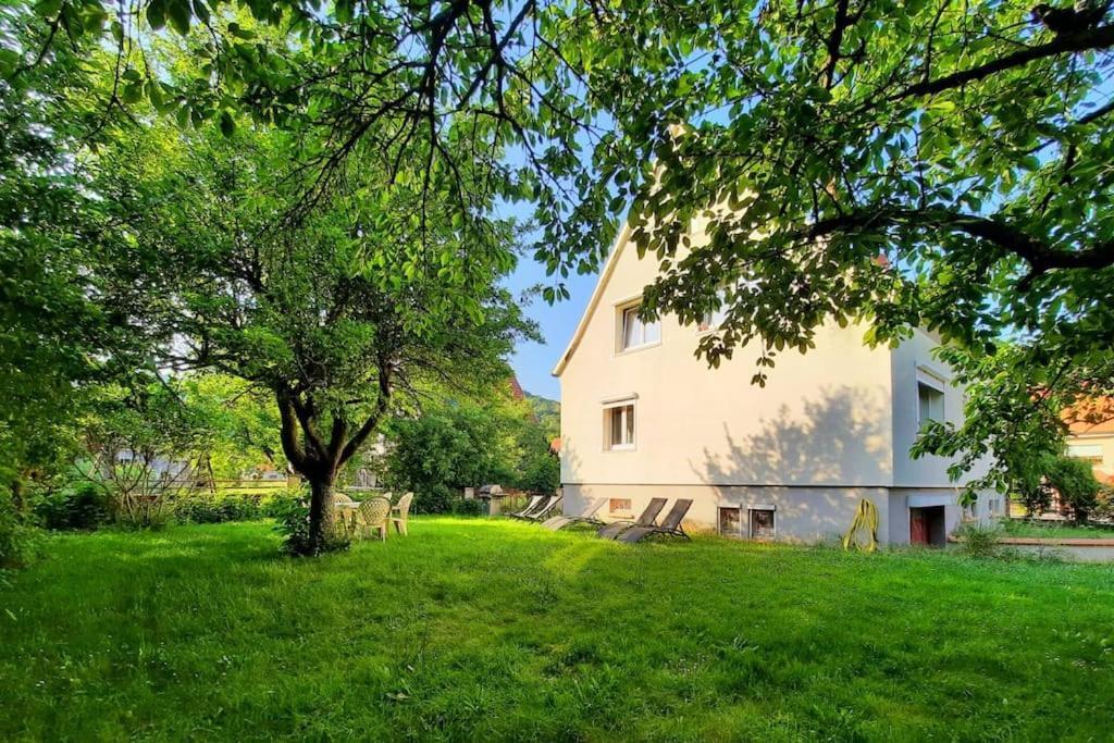 Rooms 4 Persons Kaysersberg Kültér fotó