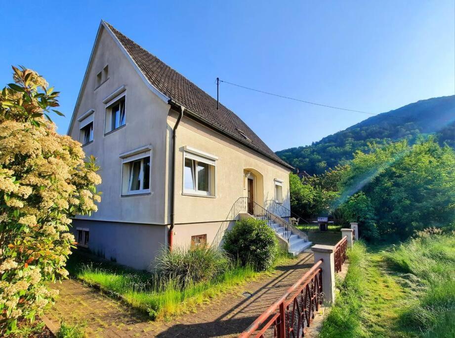 Rooms 4 Persons Kaysersberg Kültér fotó
